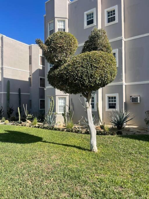 Apartamento Departamento En 1Er Piso 2 Bdr 2Bath Tezal Cabo San Lucas Exterior foto